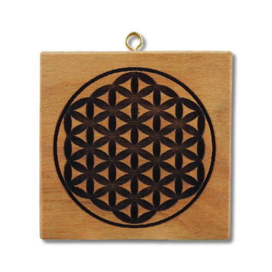 Blume des Lebens (434)