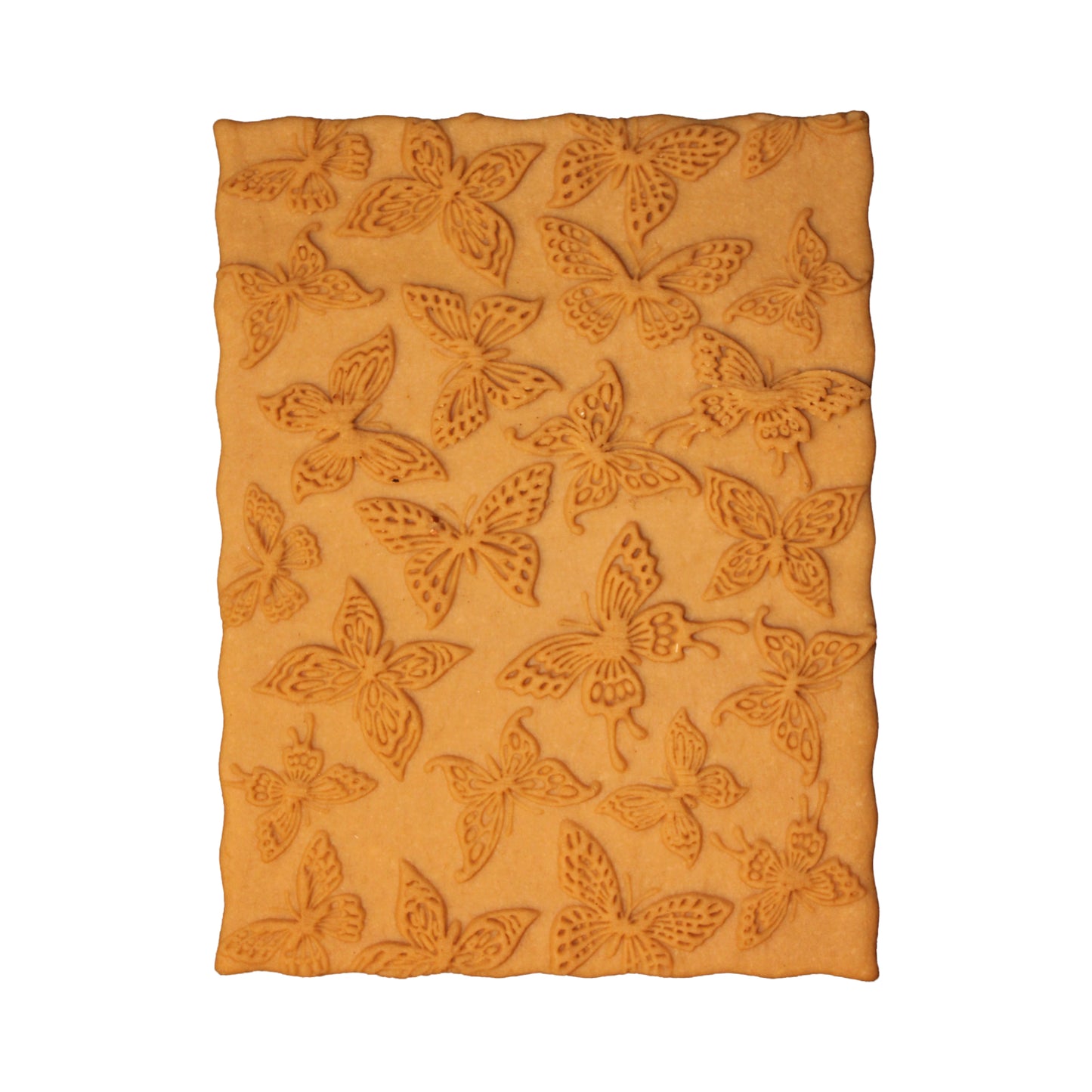 Schmetterlinge (958)